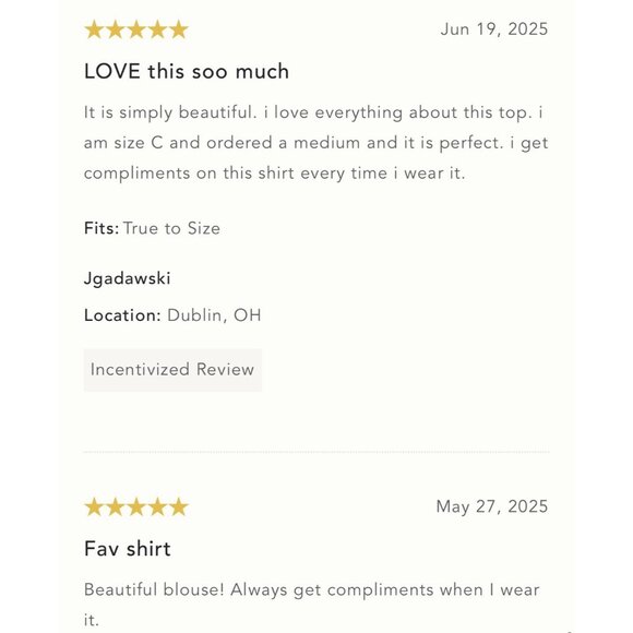 NWT Size L - ANTHROPOLOGIE Sheer Embroidered Mesh Blouse (NWT US$128) - Picture 2 of 16